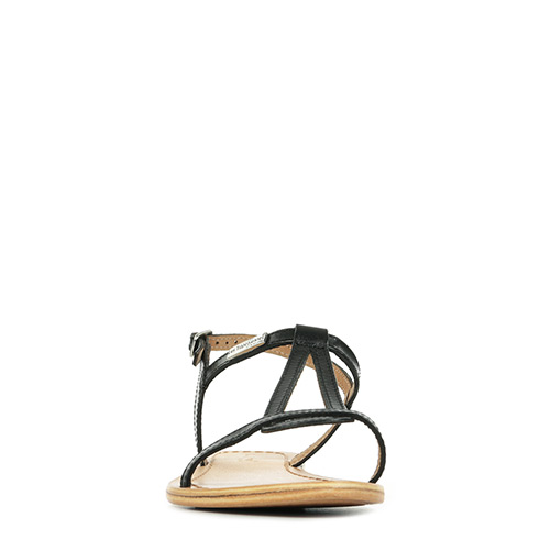 Les Tropéziennes by M Belarbi Hamess