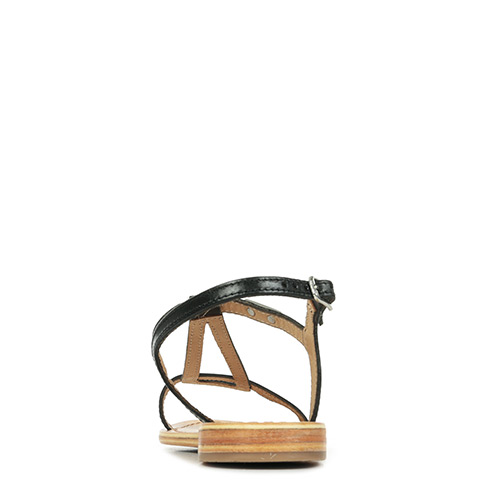 Les Tropéziennes by M Belarbi Hamess