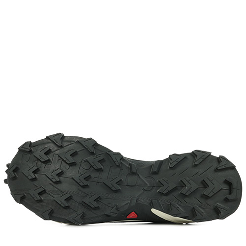 Salomon Alphacross 4