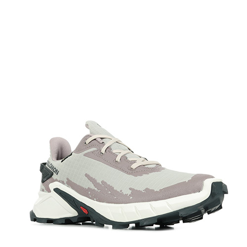 Salomon Alphacross 4 Gtx W