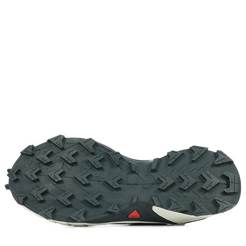 Salomon Alphacross 4 Gtx W