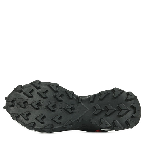 Salomon Alphacross Blast