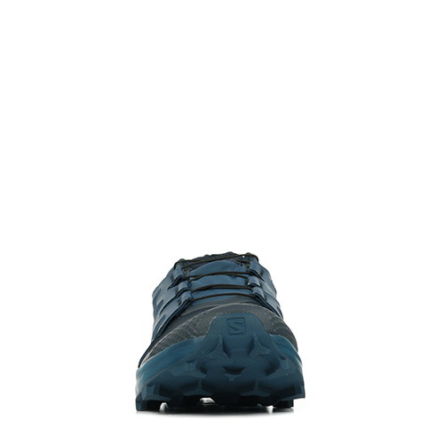 Salomon Wildcross Gtx