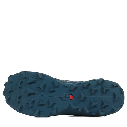 Salomon Wildcross Gtx