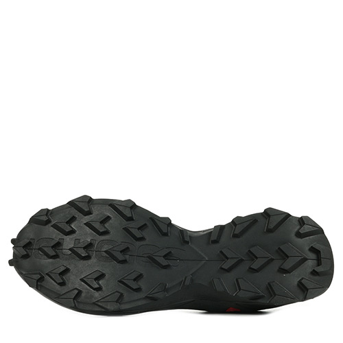 Salomon Alphacross Blast