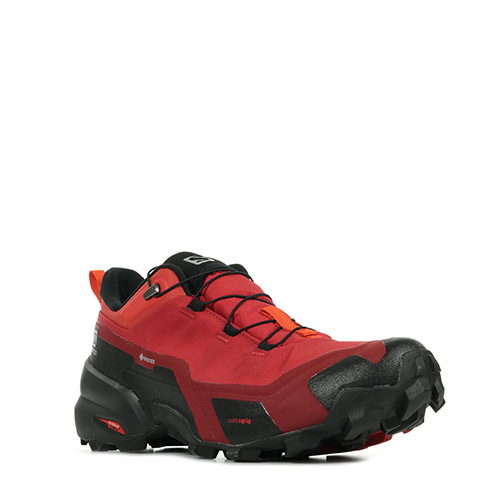 Salomon Cross Hike GTX