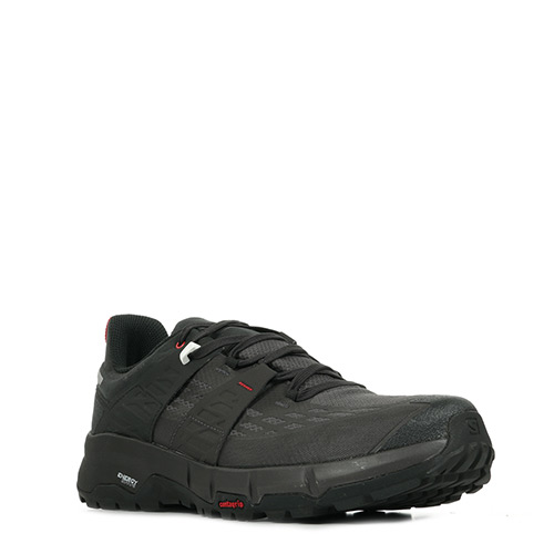 Salomon Odyssey gtx