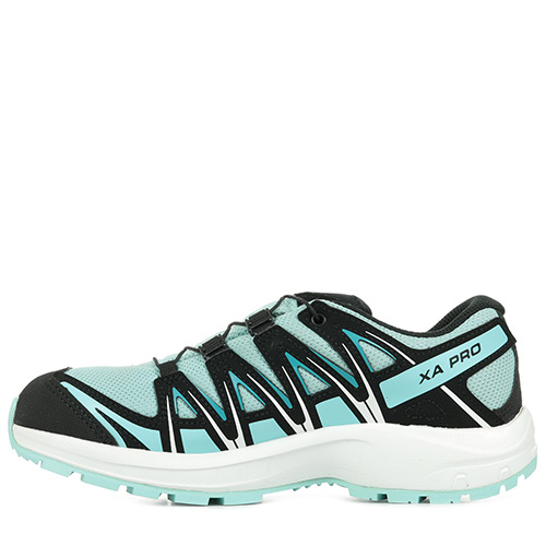 Salomon Xa Pro 3d Cswp
