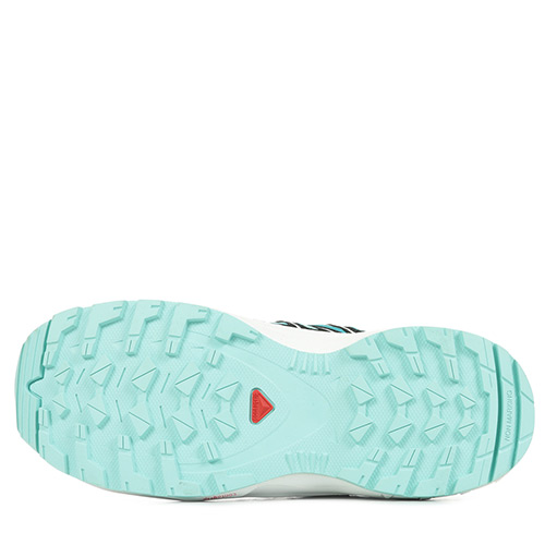 Salomon Xa Pro 3d Cswp