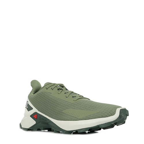 Salomon Alphacross Blast