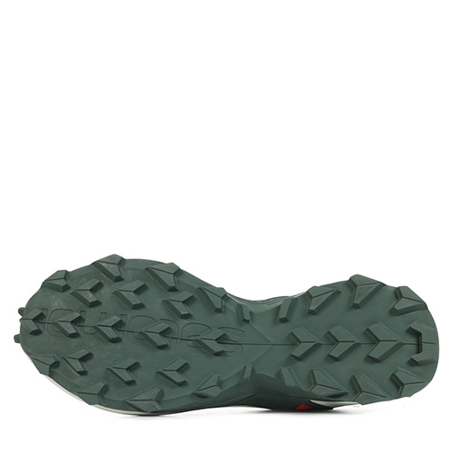 Salomon Alphacross Blast