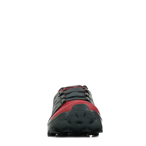 Salomon Wildcross Gtx