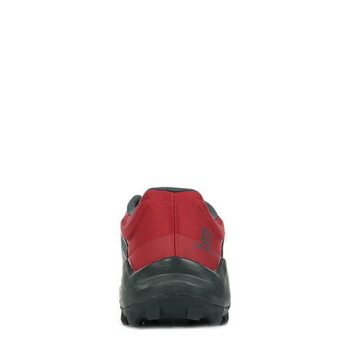 Salomon Wildcross Gtx