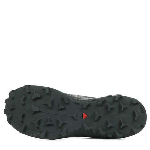 Salomon Wildcross Gtx