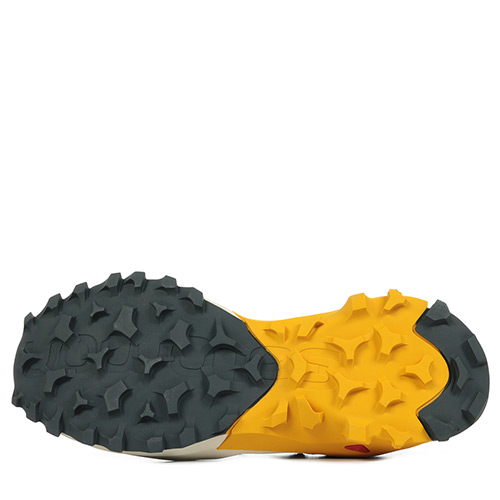 Salomon Madcross Gtx