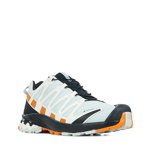 Salomon Xa Pro 3D V8 GTX