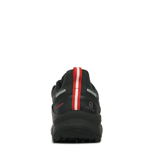 Salomon Odyssey Gtx