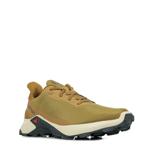 Salomon Alphacross 3