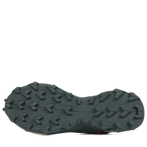 Salomon Alphacross 3