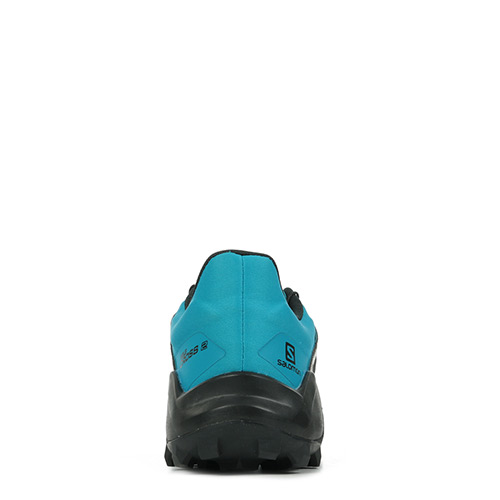 Salomon Wildcross 2 Gtx