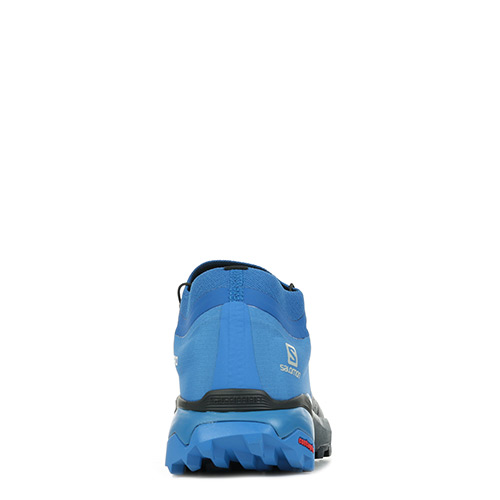 Salomon Wings Pro