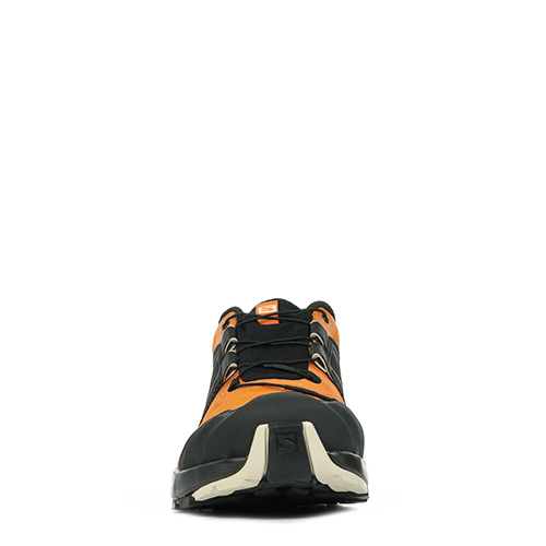 Salomon Xa Wild Gtx