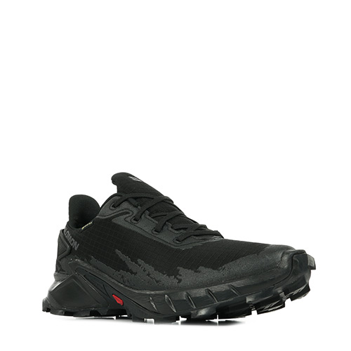 Salomon Alphacross 4 Gtx W