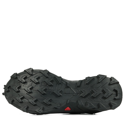 Salomon Alphacross 4 Gtx W