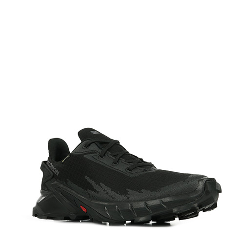 Salomon Alphacross 4 GTX