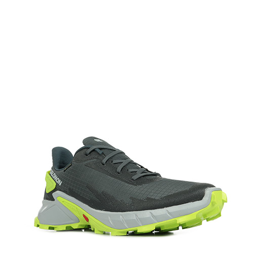 Salomon Alphacross 4 GTX