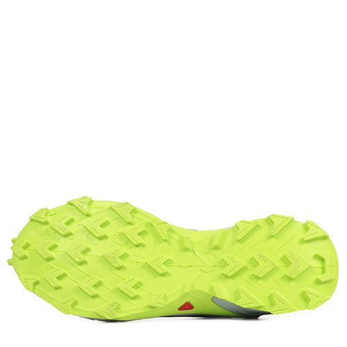 Salomon Alphacross 4 GTX