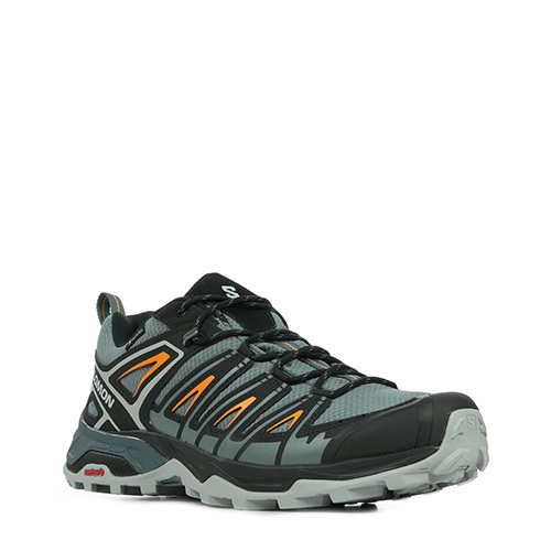 Salomon X Ultra Pioneer GTX