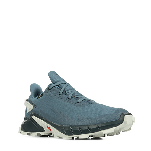 Salomon Alphacross 4 GTX