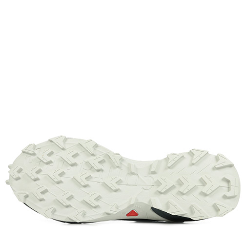 Salomon Alphacross 4 GTX