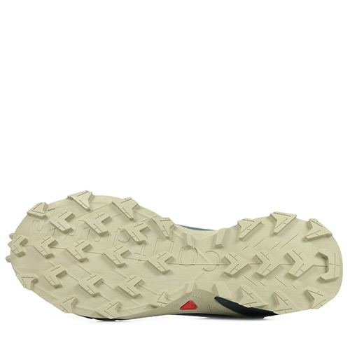 Salomon Alphacross 4