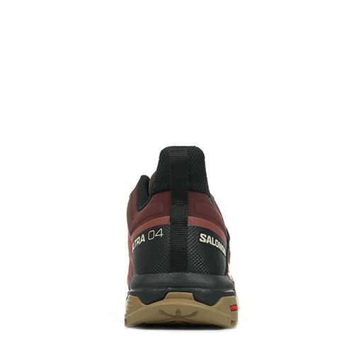 Salomon X Ultra 4 GTX