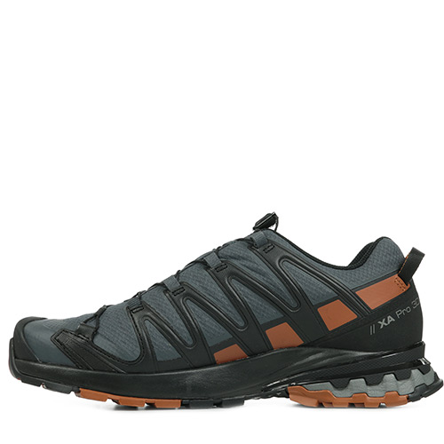 Salomon Xa Pro 3D v8 GTX