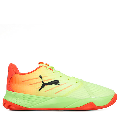Accelerate Pro II