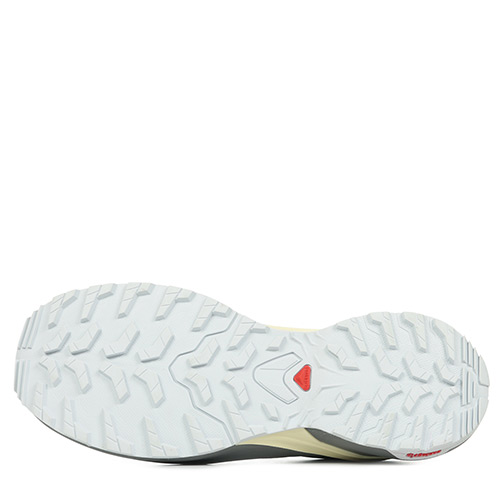 Salomon X Adventure W