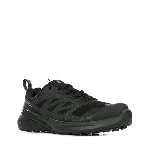 Salomon X Adventure Gtx
