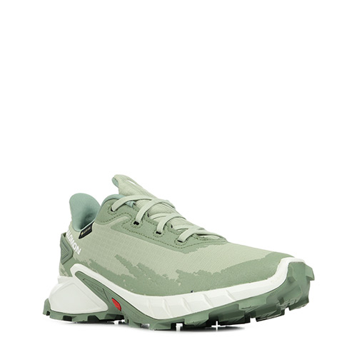 Salomon Alphacross 4 GTX