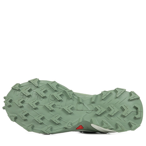Salomon Alphacross 4 GTX