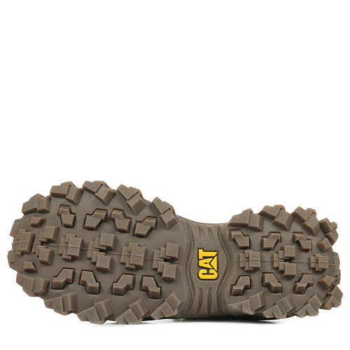 Caterpillar Intruder Beta