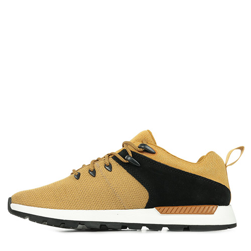 Timberland Sprint Trekker Low Knit