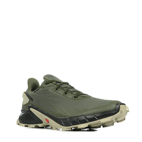 Salomon Alphacross 4 GTX