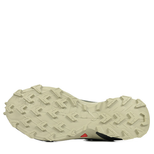 Salomon Alphacross 4 GTX