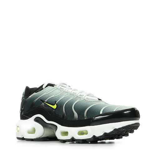 Nike Air Max Plus Gs