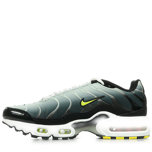 Nike Air Max Plus Gs