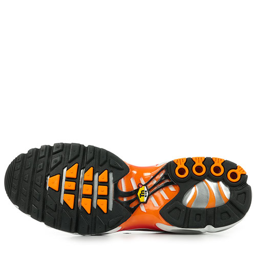 Nike Air Max Plus Og