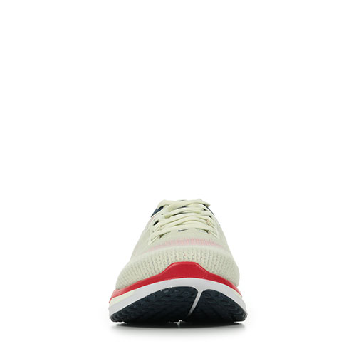 Nike Vomero 17